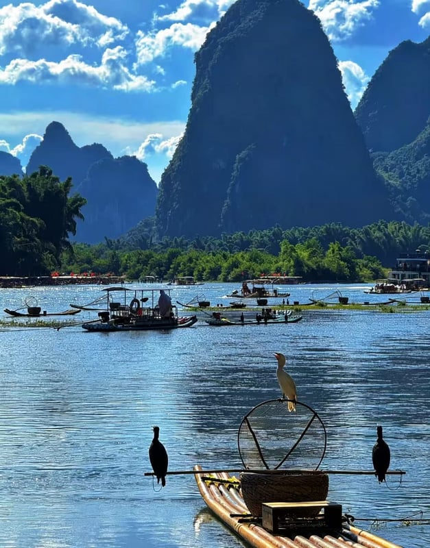 Yangshuo Yulong River Cycling Loop (Y5): 34km Route, Elevation &amp; Guide
