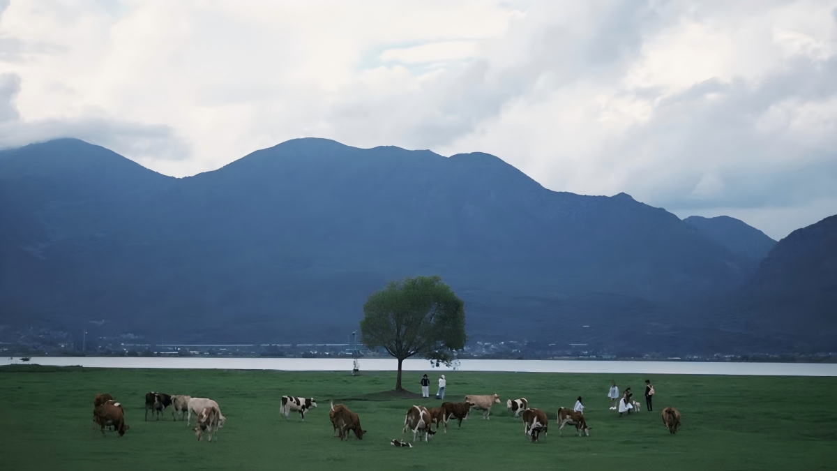 Lijiang Lashi Lake–Wenhai Wetland Snow Mountain E-Bike Tour