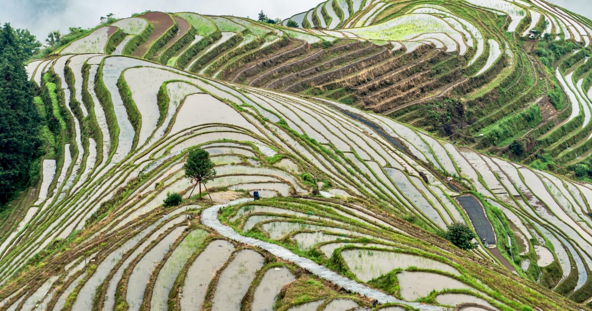 Longsheng Cycling Guide: Exploring the Journey from Guilin to Longji Rice Terraces by Bike or E-Bike