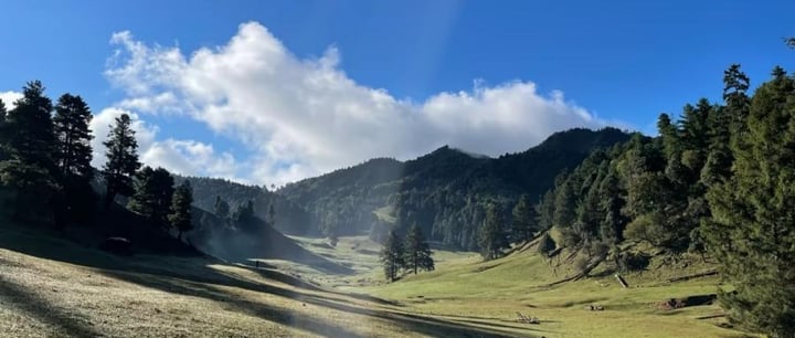 Tianzi Mountain E-MTB Ride in Yunlong, Dali: Alpine Meadow Route with Big Climbing