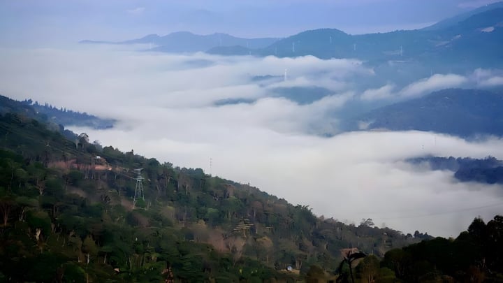 Xishuangbanna Bike Tour: Tea Mountains, Dai Villages and Tropical Yunnan Roads