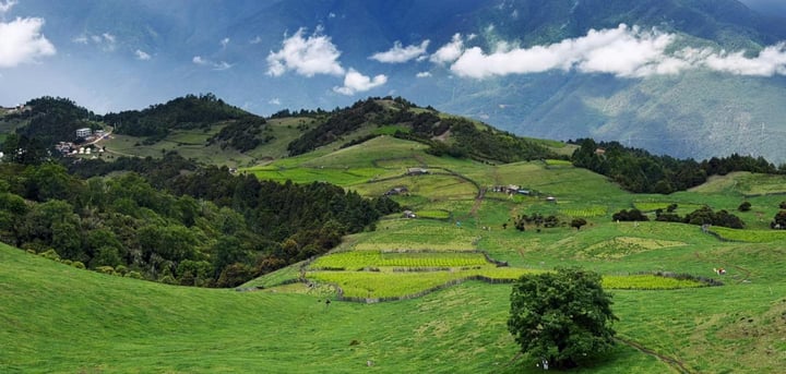 Laoyao Mountain E-MTB Ride in Shangri-La: Alpine Pasture Route Near Tiger Leaping Gorge