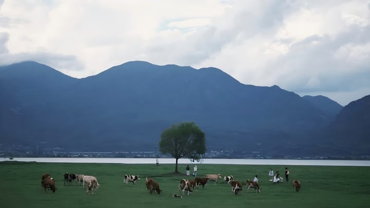 Lijiang Lashi Lake–Wenhai Wetland Snow Mountain E-Bike Tour