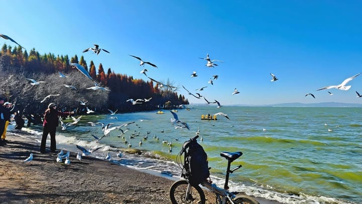 Kunming Bike Tour: Dianchi Greenway and Yangzonghai Lake Cycling