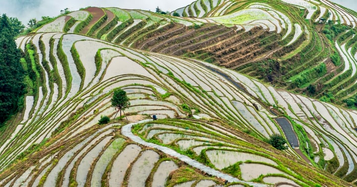 Longsheng Cycling Guide: Exploring the Journey from Guilin to Longji Rice Terraces by Bike or E-Bike