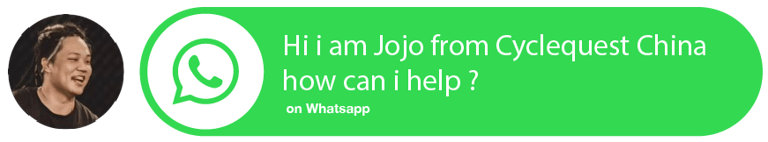 Contact Jojo on whatsapp for rental and tours in china