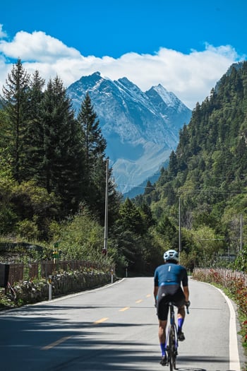 A cyclist riding on a scenic paved road towards snow-capped mountain peaks and evergreen forests.