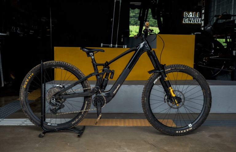 Teewing Turbo Force E-Bike (M2S) rental bike