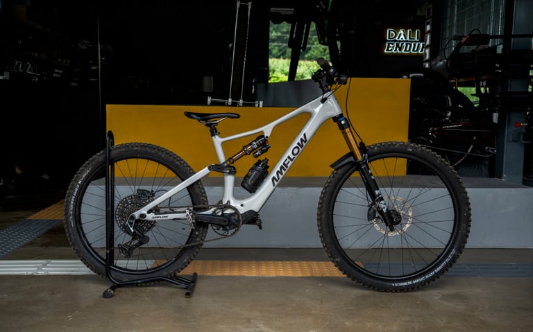 Amflow PX Carbon E-Bike rental bike