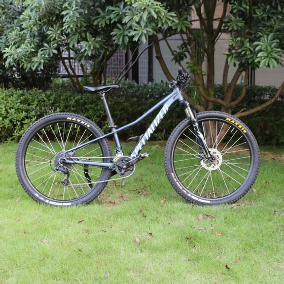 Specialized / Rockhopper / Blue rental bike