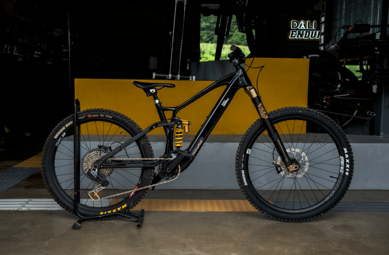 Teewing Turbo Force E-Bike (M1) rental bike