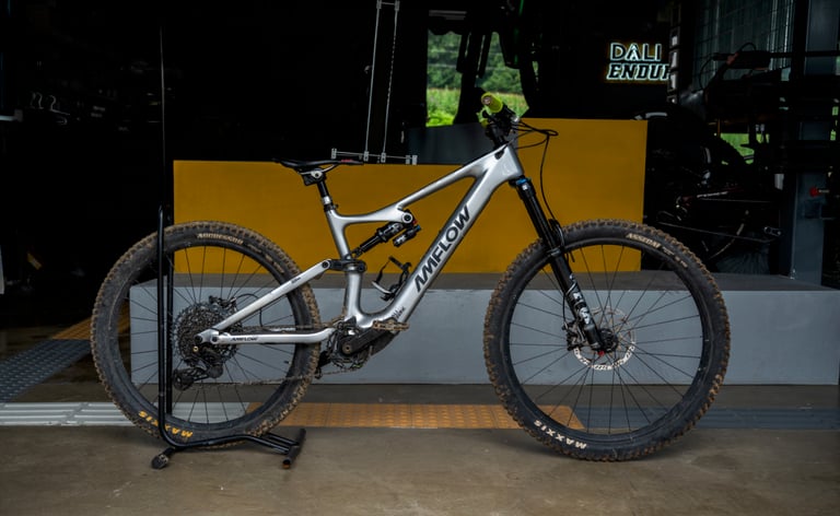 Amflow PL – Mullet rental bike