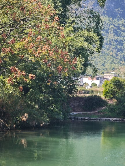 Yulong River and Jinbao River e-bike tour — photo 8