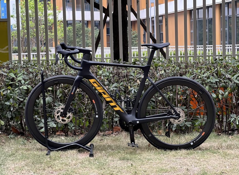 Giant Propel Advanced 1 rental bike