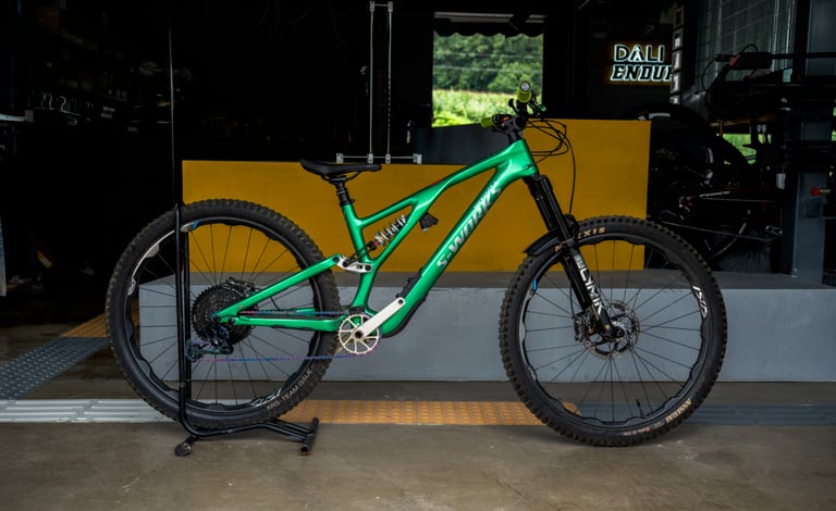 Specialized Stumpjumper EVO rental bike