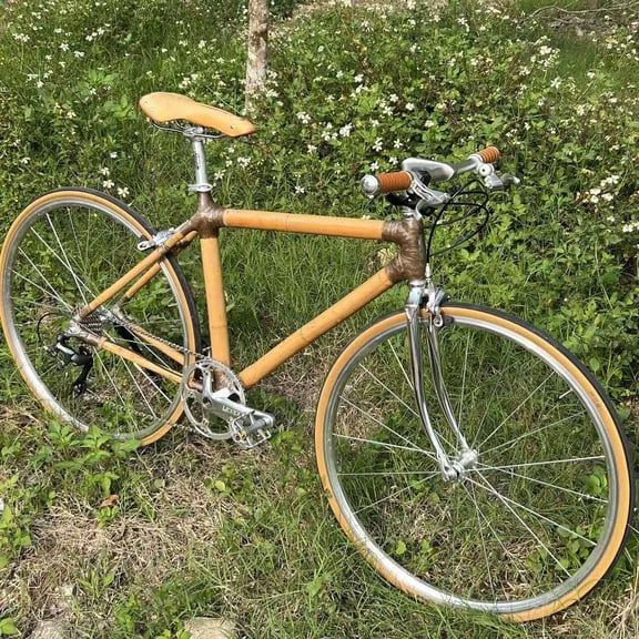 Bamboo City Bike rental bike