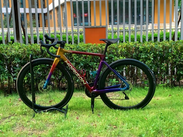 KUNG HORIZON rental bike