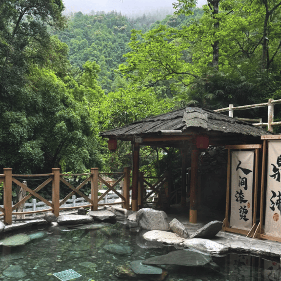 Serene outdoor natural hot spring pool at a mountain resort with a rustic wooden gazebo and lush forest.