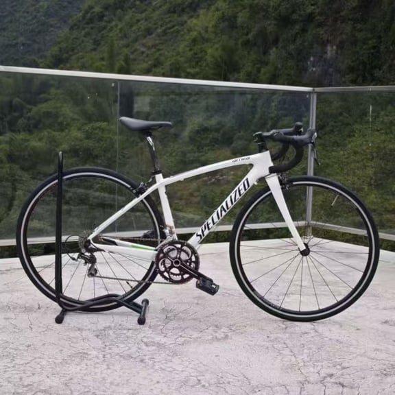 Specialized Aethos rental bike