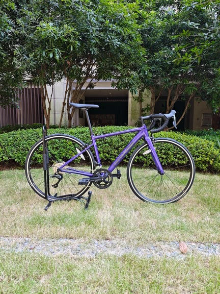 Cannondale CAAD Optimo 3 rental bike