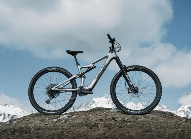 Amflow PL Carbon E-Bike rental bike