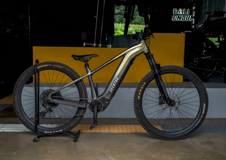 Aventon Ramblas E-Bike rental bike