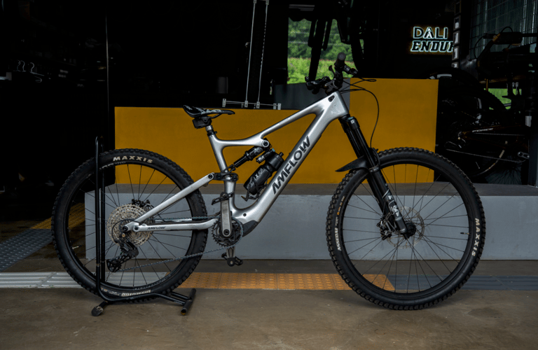 Amflow PL - Full 29er rental bike