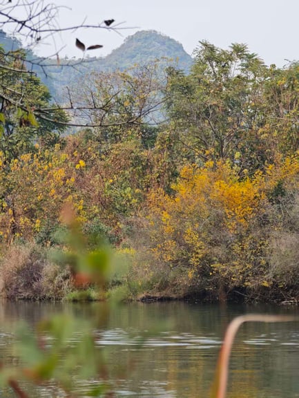 Yulong River and Fuli Bridge e-bike tour — photo 2