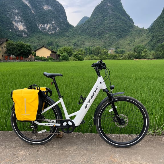 Fnix / E-BIKE / 27.5 / Black or White rental bike