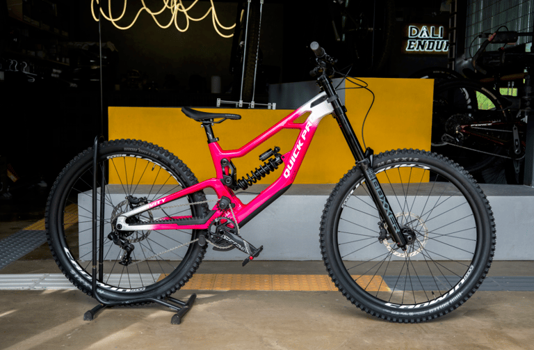 Quick Pro Force – RockShox Domain rental bike