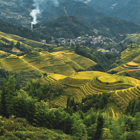 Golden terraced rice fields in a lush mountain valley with a small traditional village.