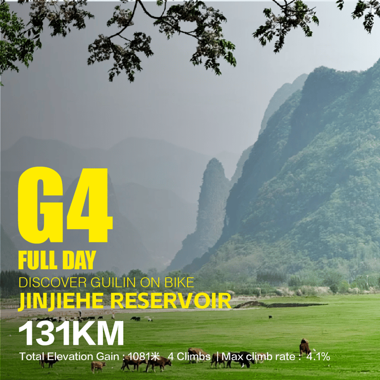 Cattle grazing below karst cliffs at Jinjiehe Reservoir — route G4, 131 km, 1,081 m ascent