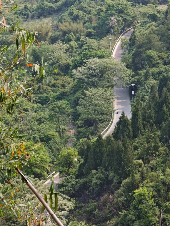Thousand River & Mountains e-bike tour — photo 1