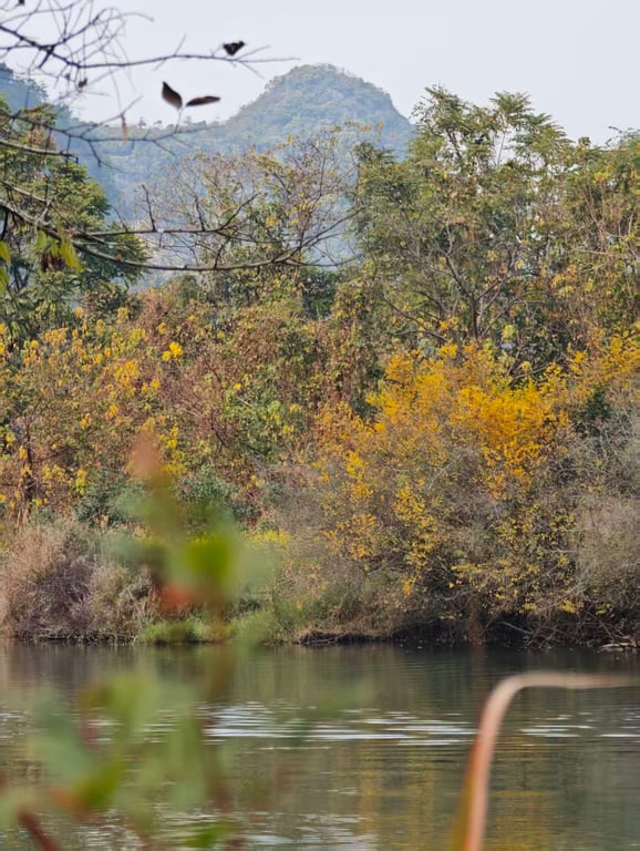 Yulong River and Fuli Bridge e-bike tour — photo 2